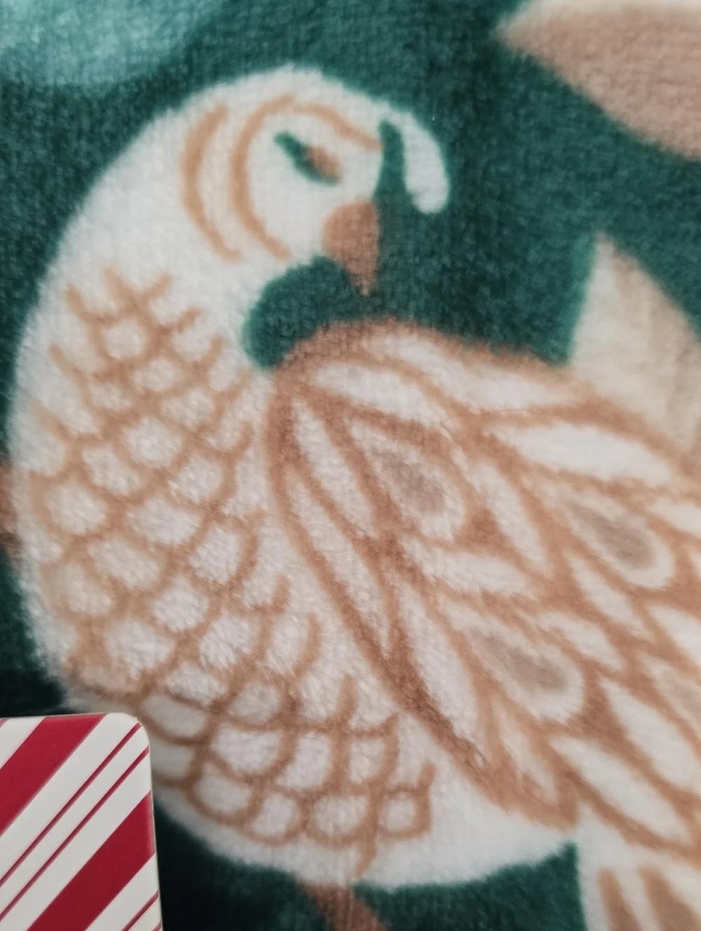 NORTH POLE GREEN AND WHITE VELVET PLUSH THROW